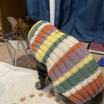 猫ちゃん用WOOL100%手編みセーター