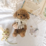 11月28日生まれ レッドプードルちゃん🤎pupuBEAR