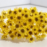 スターフラワーブロッサム　ヒマワリ加工　80本　加工花材