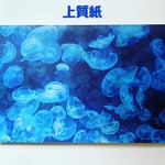 デザインペーパー  jellyfish 10枚