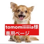 専用ページ