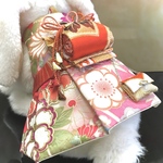 【collection:シリーズ「彩」】うさぎの灯ハーネス