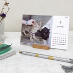 2022✳︎モロッコとチュニジア✳︎旅の途中で出会った猫のカレンダー