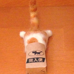 猫・スポっ！と かわいい 袋にゃんこ 太ったニャ～