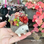 《新作》＊.・.・12月3日までの出品です○＊気まぐれ多肉寄せ植え＊。ハリネズミ・＊＊＊。・＊