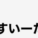 すいーた様専用　ポーチ　小物入
