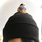 もけもけおもち文鳥さんonニット帽