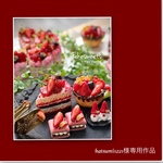 hatsumi1221様専用作品　　 sweets set①