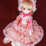 ★幼SD＊ROSEN LIED＊火曜子用★梅★