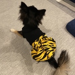 Mさま専用