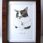 専用ページ