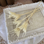 綺麗ニゲラオリエンタルス❣️ホワイト小分け❣️ハンドメイド花材