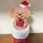 毛糸のぽんぽん　トイプードルサンタさん（茶色・クリスマスブーツ入り）