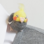一緒にお出かけ♪ふくふくおねむなインコブローチ（オカメ・ノーマル）
