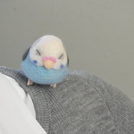 一緒にお出かけ♪ふくふくおねむなインコブローチ（セキセイ・ブルー）