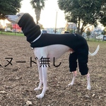 イタグレ服　裏起毛サロペット