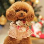 小さめサイズ‪·͜· ❤︎‬ クリスマス チェックリボン 超小型犬 小型犬 猫 ペット アクセサリー バラ 誕生日 お祝い おしゃれ 飾り