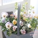 パステルカラーのお花の贈り物❁⃘絶妙color❁⃘おしゃれな寄せ植え