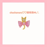 chachamaru♡♡様専用ページ୨୧⑅*.