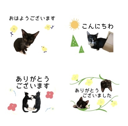 ももさん様♡⃛ポメラニアン 猫 ウェルカムボード もふ屋