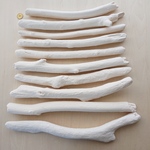 ペイント流木 　15～37cm 10本セット　210406A