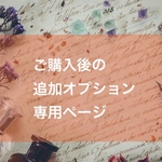 ご購入後の追加オプション専用ページ