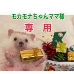 モカモナちゃんママ様専用