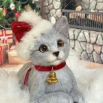 グレー種の仔猫　😽シャルトリュー