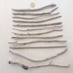 流木  44～77,5cm　210610B