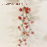 ＊rika5257様　専用ページ＊