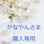 かなやんさま 購入専用