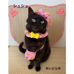 お正月用シュシュ、猫ちゃんの首輪