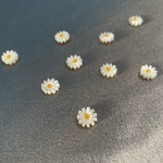 Daisy 天然シェル 【D10mm】（小）