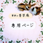 eeeritun様  追加専用ページです（他の方はご購入できませんのでご注意下さい）