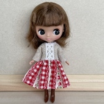 【専用出品】プチブライス＊アウトフィット　シンプルワンピース(赤ギンガム花柄) ＋ エプロン ＋モヘアのショール