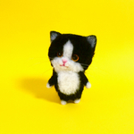 ニャーニャーニャーシリーズ☆はちわれちゃん