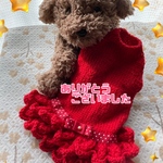 new🧶フルフルフリルウェア