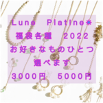 再販7新春福袋2022Lune Platine*お好きなもの一つ選べます