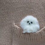羊毛フェルト  犬  ポメラニアン  白  ホワイト  ブローチ  アクセサリー  ハンドメイド    