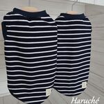 犬服　【キャバリアM】　シンプルボーダーニット生地