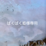 ぱくぱく姫様様専用