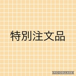 特別注文品のお客様専用ページ