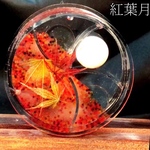 砂車95 紅葉月　ハーバリウム