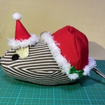 クリスマス仕様デグパングリーンリボン＆サンタ帽