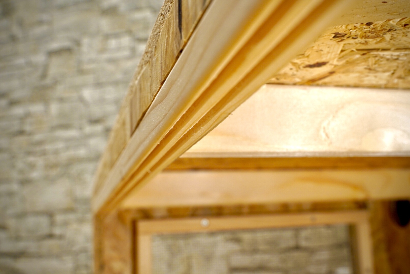 コスパ重視！OSB木製ケージ(未使用) コスパ重視！OSB木製ケージ(未使用)③ 楽天市場】限定50枚☆6％