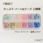 限定　ビーズ　パールビーズ　フルーツ　パーツ　金箔　12種類　ハーバリウムボールペン　レジン　アクセサリー