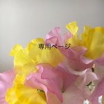 12263335様専用ページ🌸