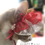 🎄クリスマスオーガンジースタイ、ベッドドレス🎄