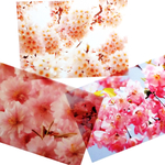 桜透明写真セット