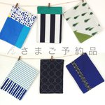 ▼ｈｔ様ご注文品▼男の子用ミニサイズランチョンマット▼3枚セット